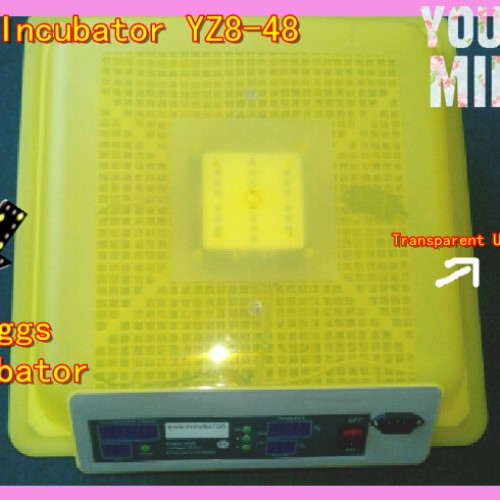 Ce approved newest family use fully automatic mini chicken egg incubator for 48 eggs yz8-48